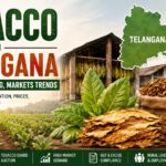 Tobacco in Telangana: Production, Farming, Markets Trends.